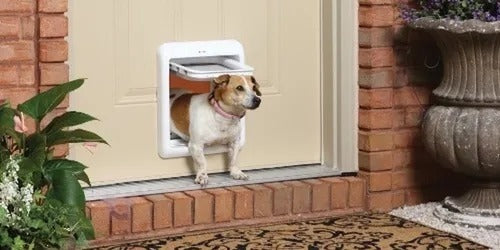 Puerta Exterior Grande L Para Perro Gato Mascota /g004