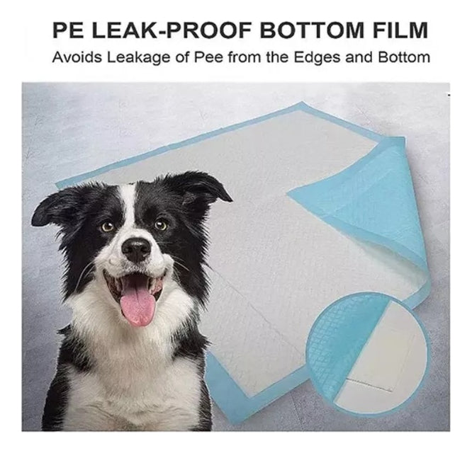 Pañales Superabsorbente Alfombrilla Para Perro Talla M 50pcs