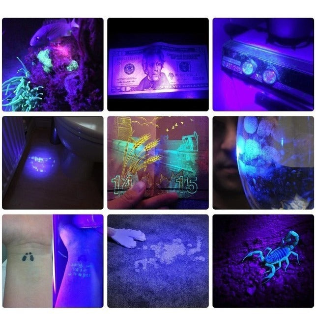 Linterna De Bolsillo Ultravioleta Luz Uv /l41
