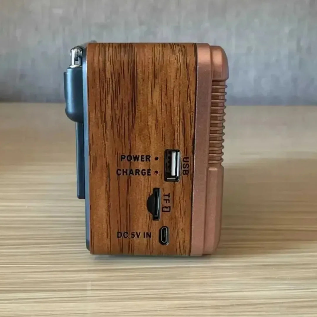Radio Solar Con Batería Incorporada Bluetooth Mp3 Marron