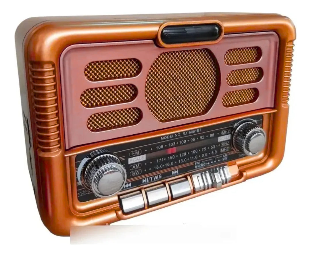 Radio Solar Con Batería Incorporada Bluetooth Mp3 Marron