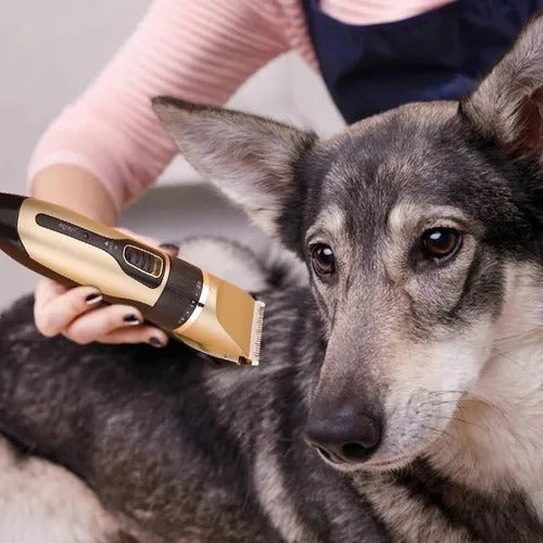 Afeitadora Para Mascotas Perros Y Gatos Cortadora De Pelo368
