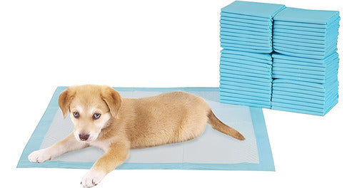 Pañales Superabsorbente Alfombrilla Para Perro Talla M 50pcs
